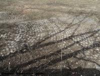 Imagine atasata: Bega - Divizia 9 Cavelerie - 2015.02.24 - 16.jpg